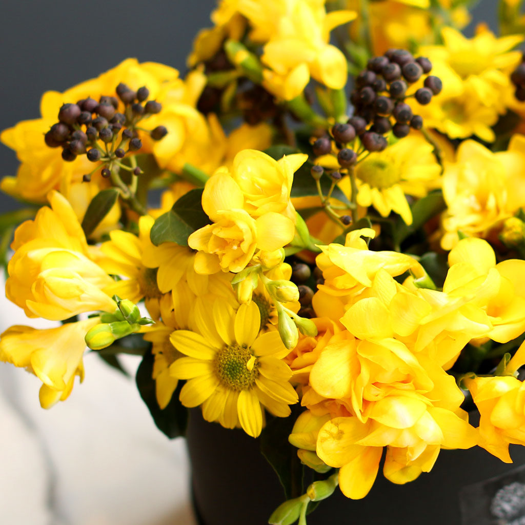 White day ó�� ���� ��ħ ���� �ɹ��