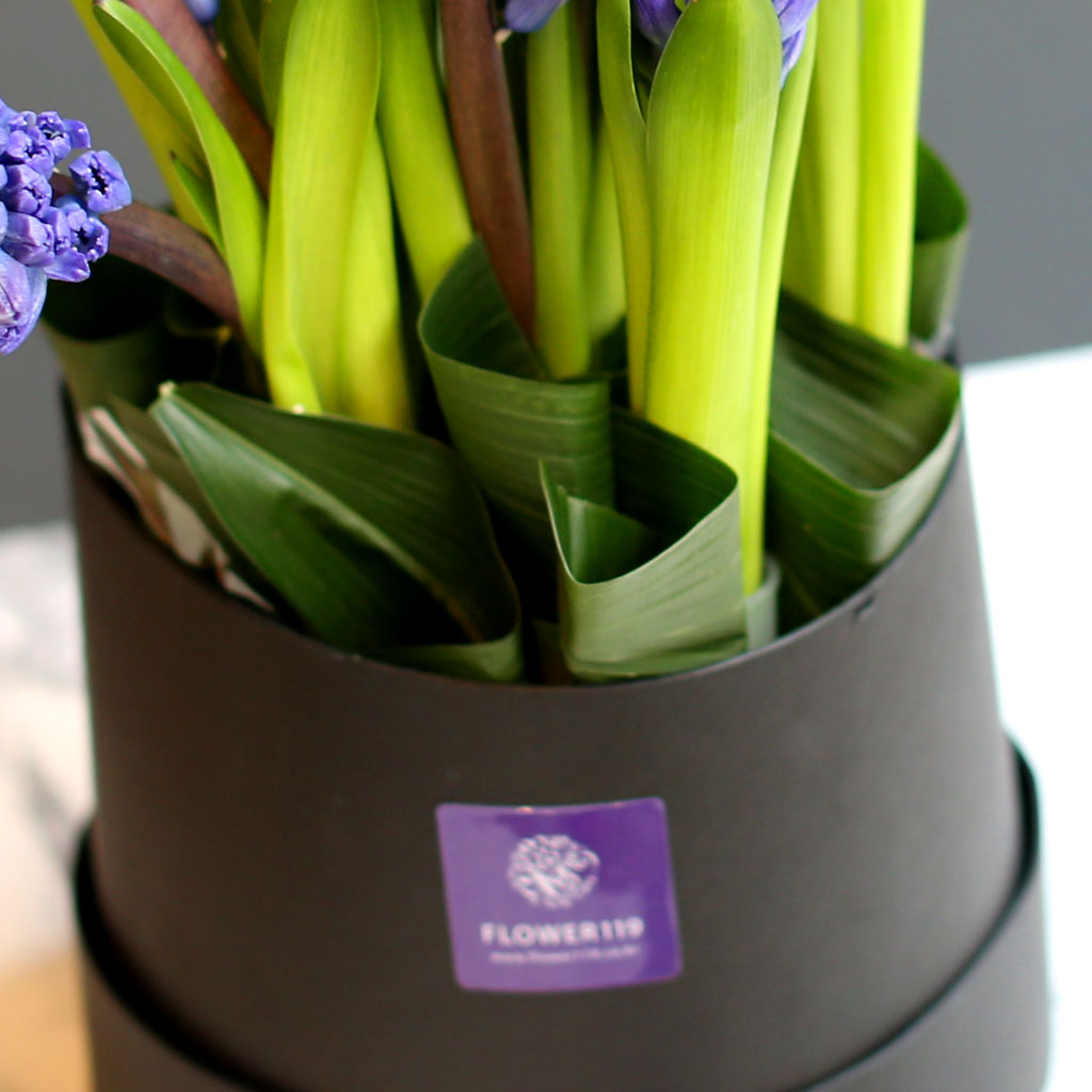 [,]  White day Spring again