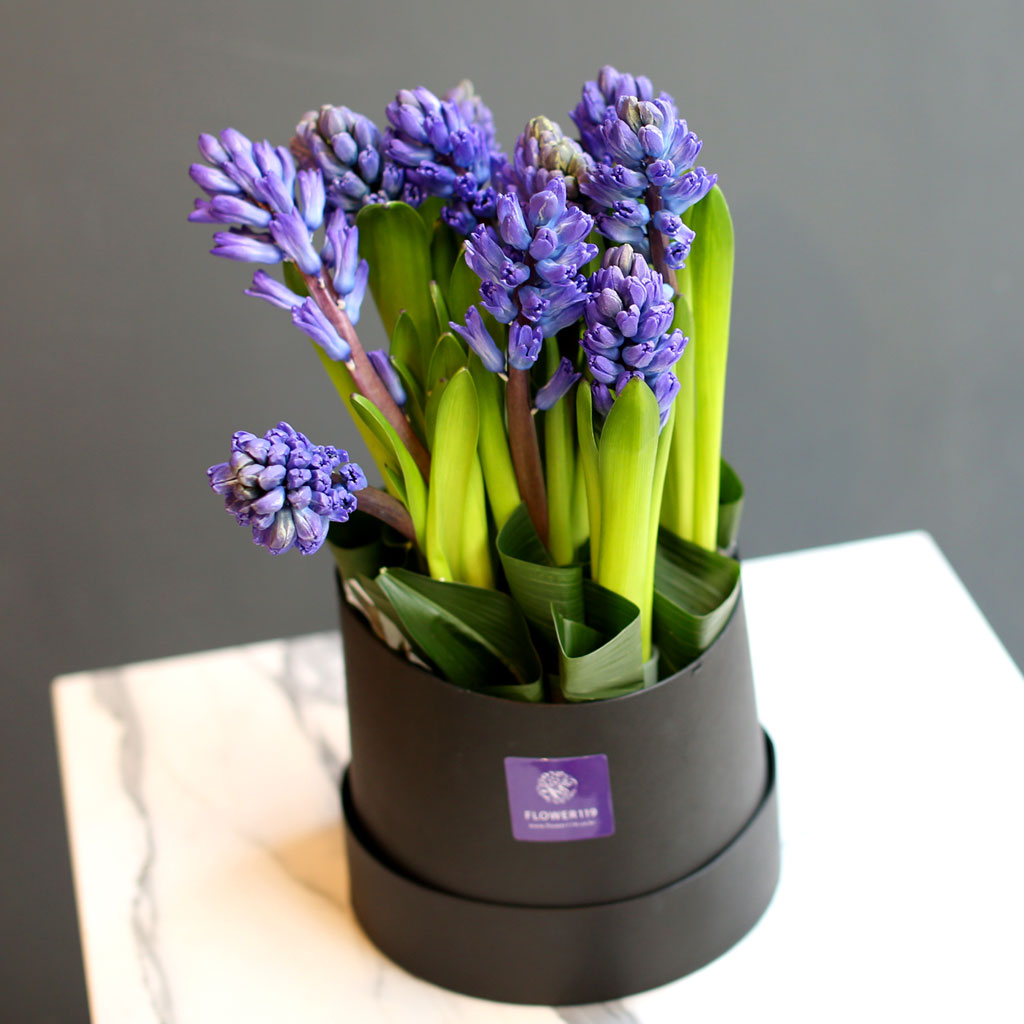 [,]  White day Spring again