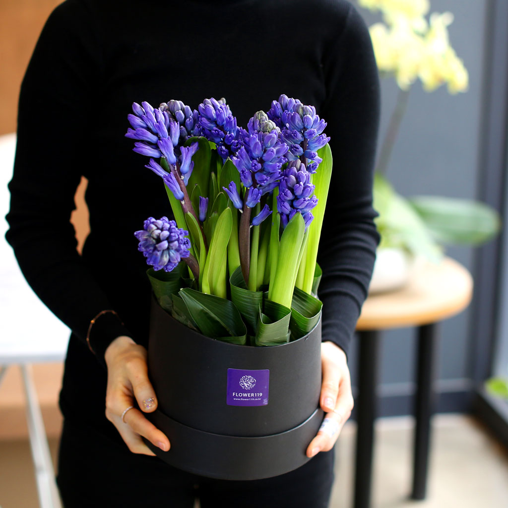 [,]  White day Spring again