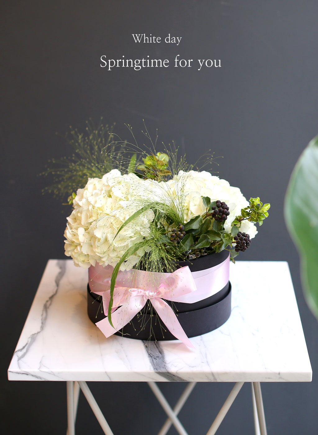 [/ ]  White day Springtime for you  ɹ