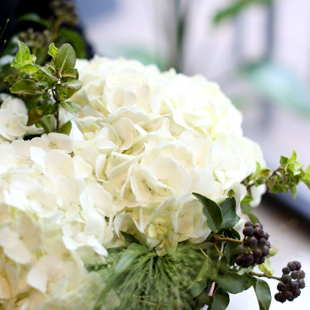 [/ ]  White day Springtime for you  ɹ