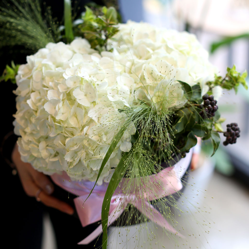 [/ ]  White day Springtime for you  ɹ