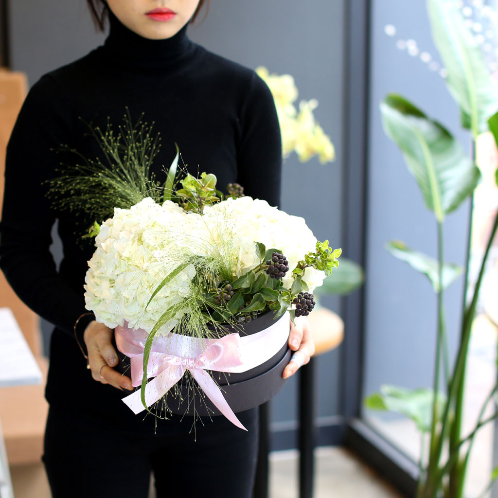 [/ ]  White day Springtime for you  ɹ