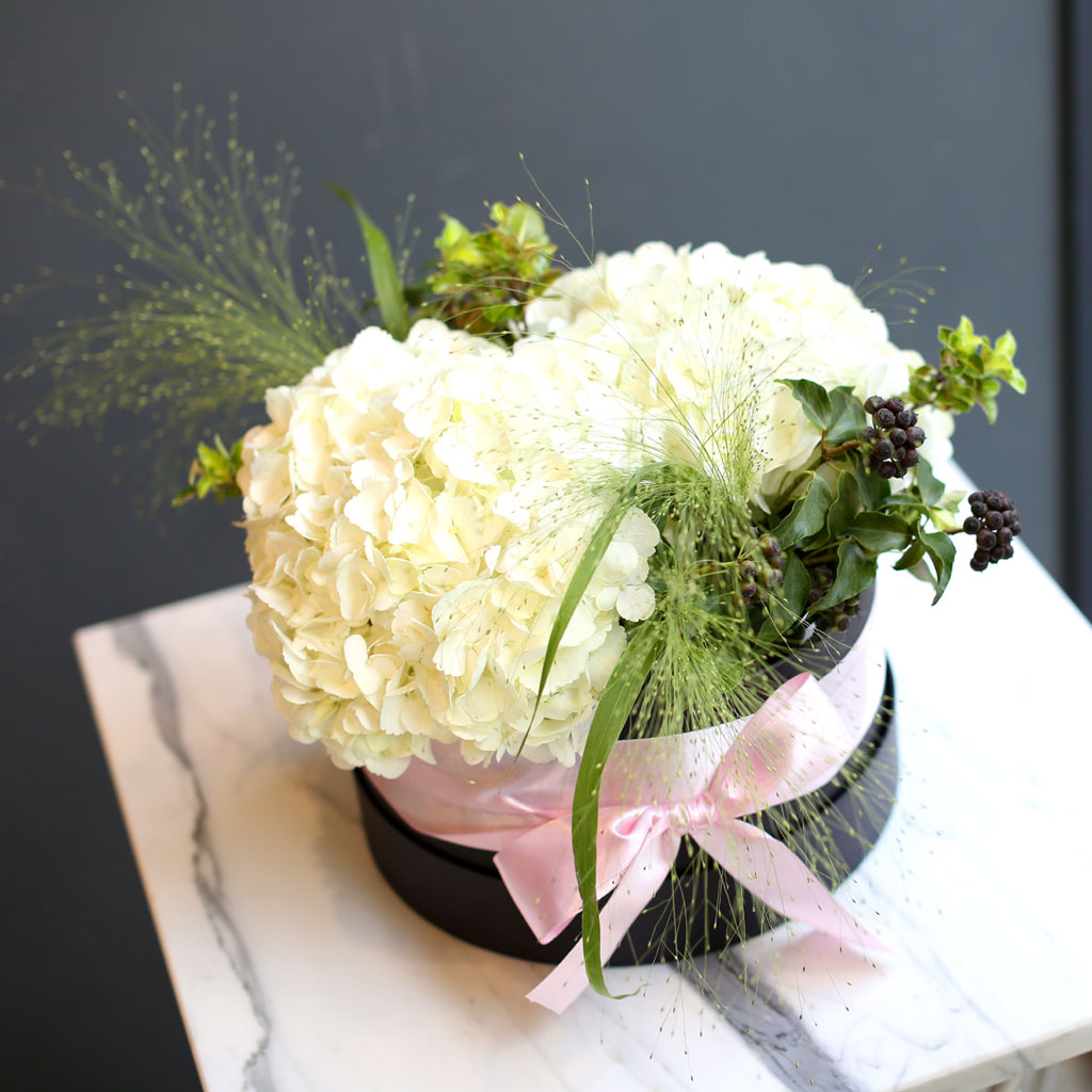 [/ ]  White day Springtime for you  ɹ