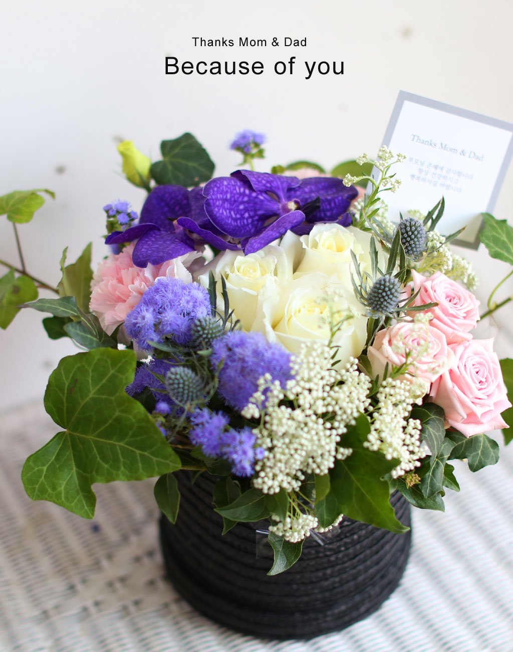 [/ǹ]Thanks for, Because of you