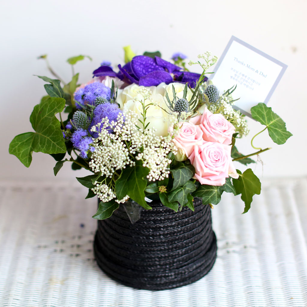 [/ǹ]Thanks for, Because of you