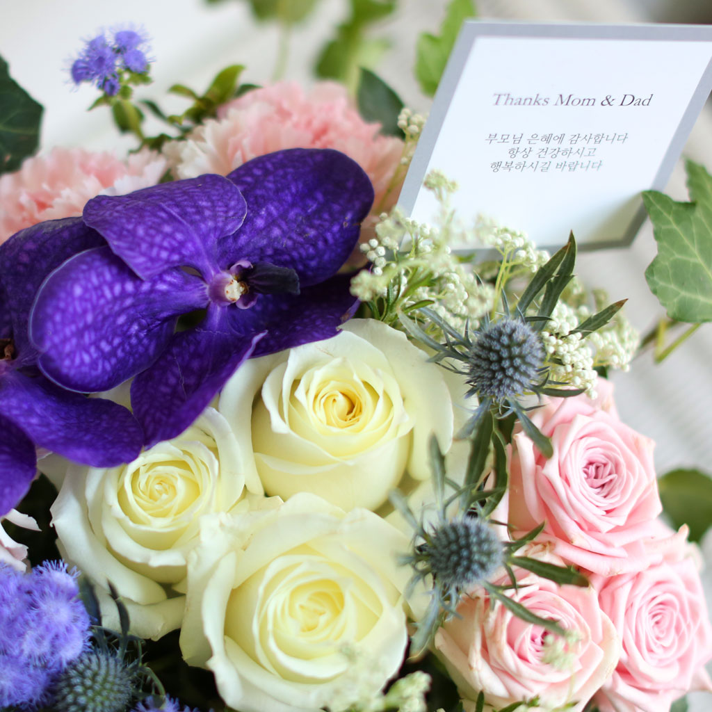 [/ǹ]Thanks for, Because of you