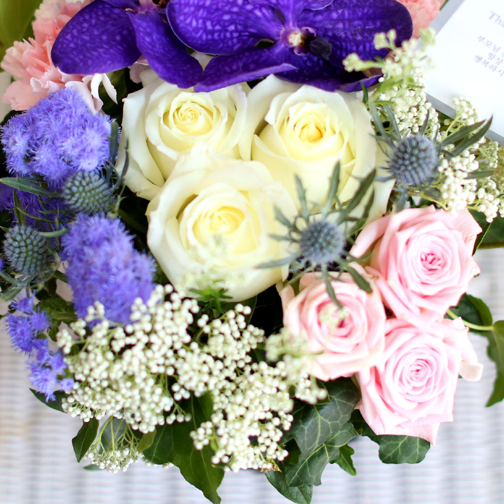 [/ǹ]Thanks for, Because of you