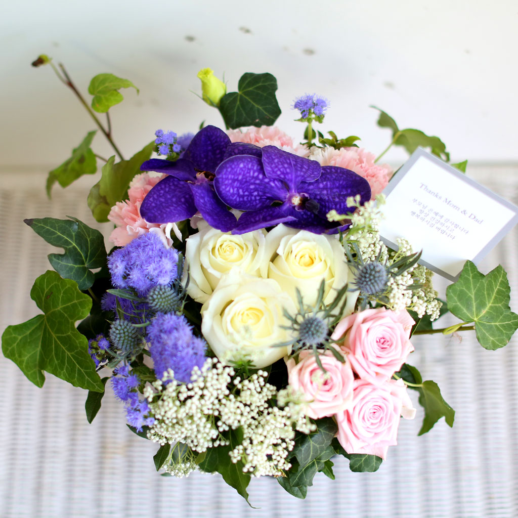 [/ǹ]Thanks for, Because of you