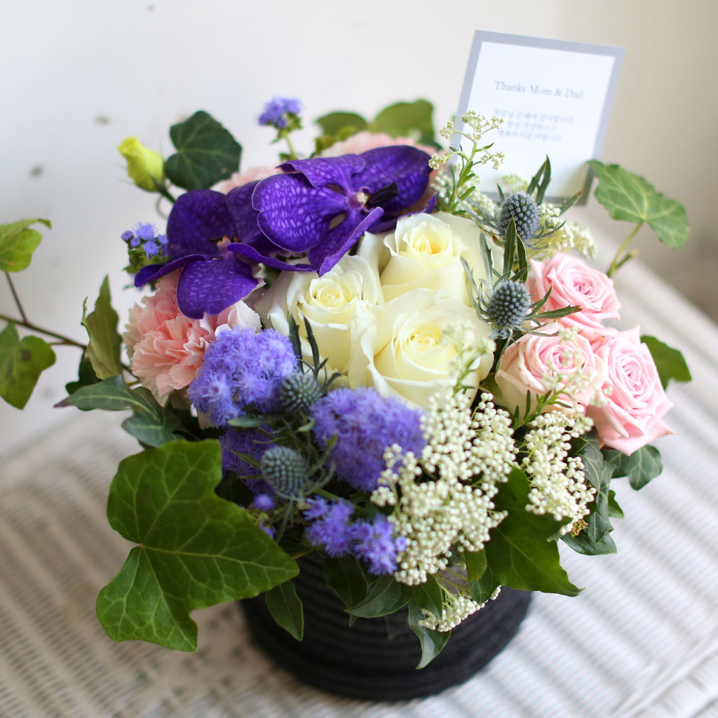 [/ǹ]Thanks for, Because of you