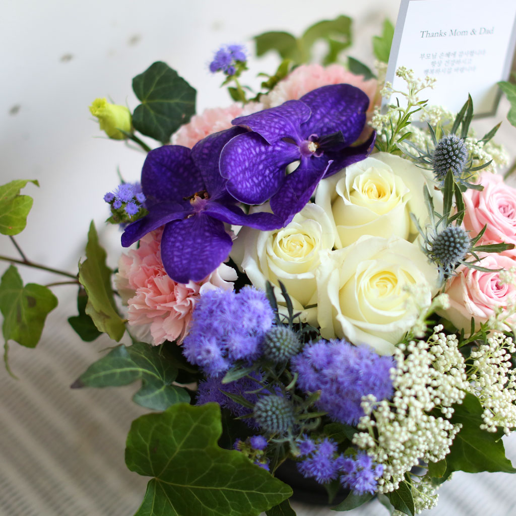 [/ǹ]Thanks for, Because of you