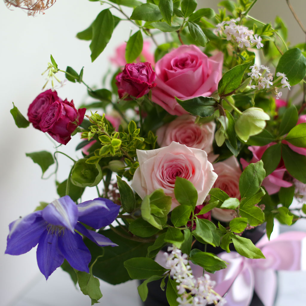 [/ ] - Rose forest  ɹ