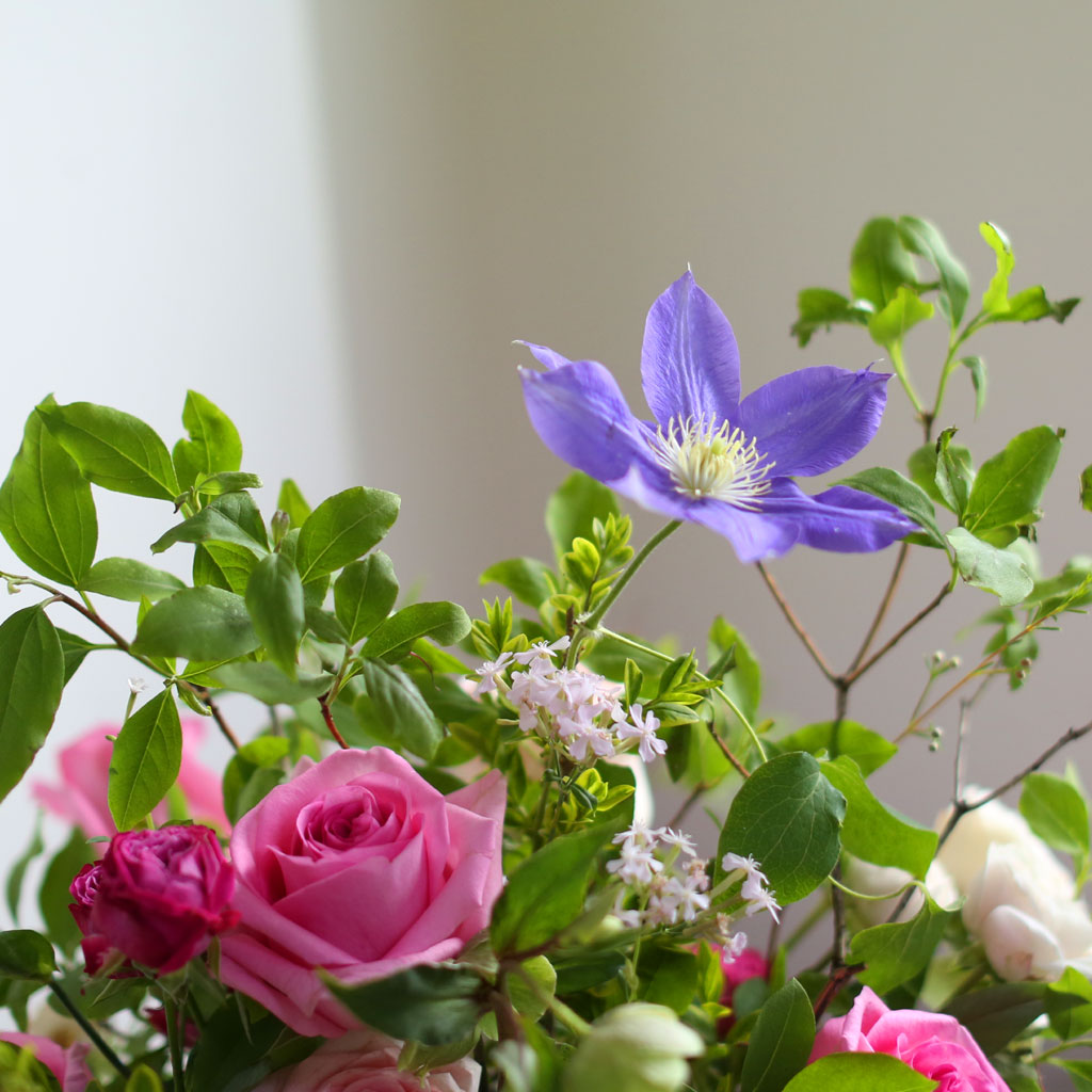 [/ ] - Rose forest  ɹ