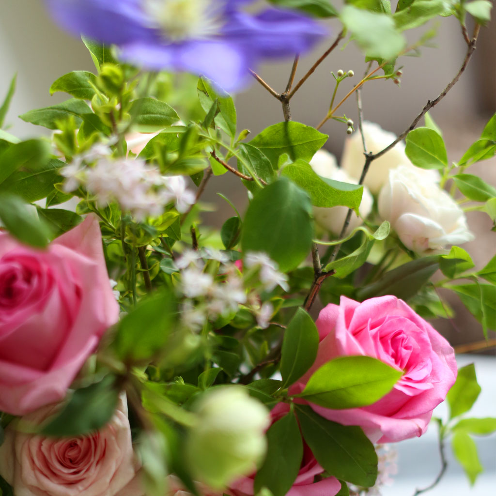 [/ ] - Rose forest  ɹ