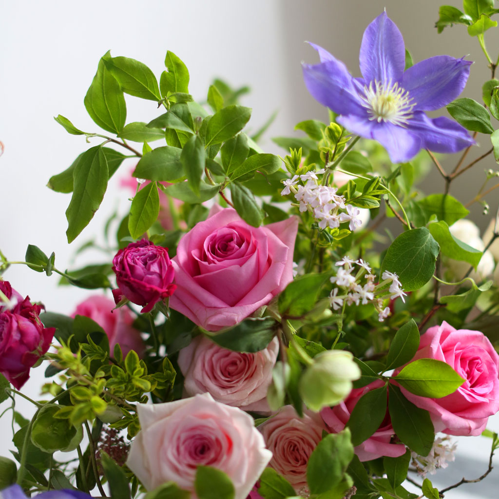 [/ ] - Rose forest  ɹ