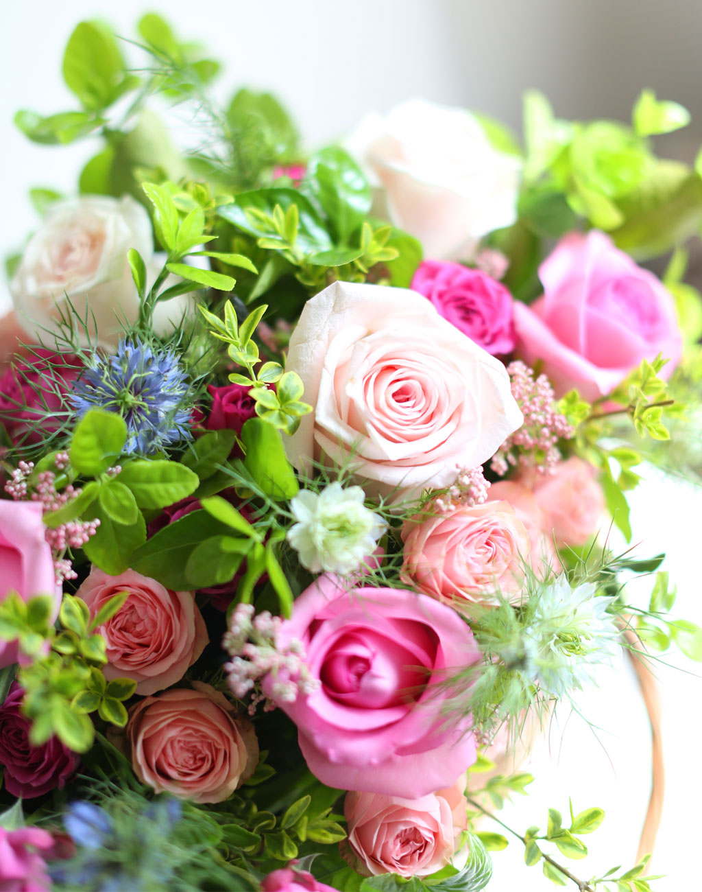  - Sweet roses  ɹ