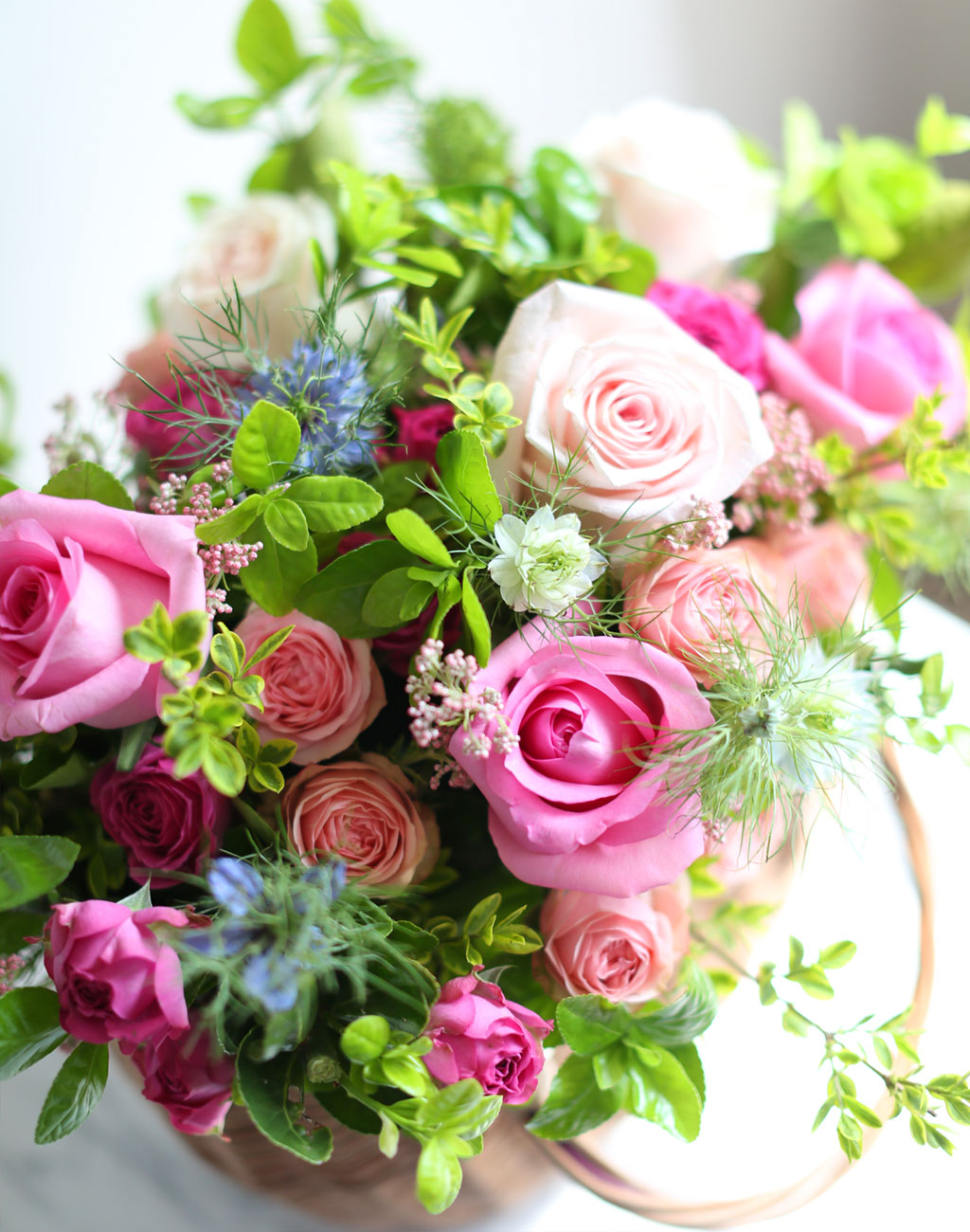  - Sweet roses  ɹ