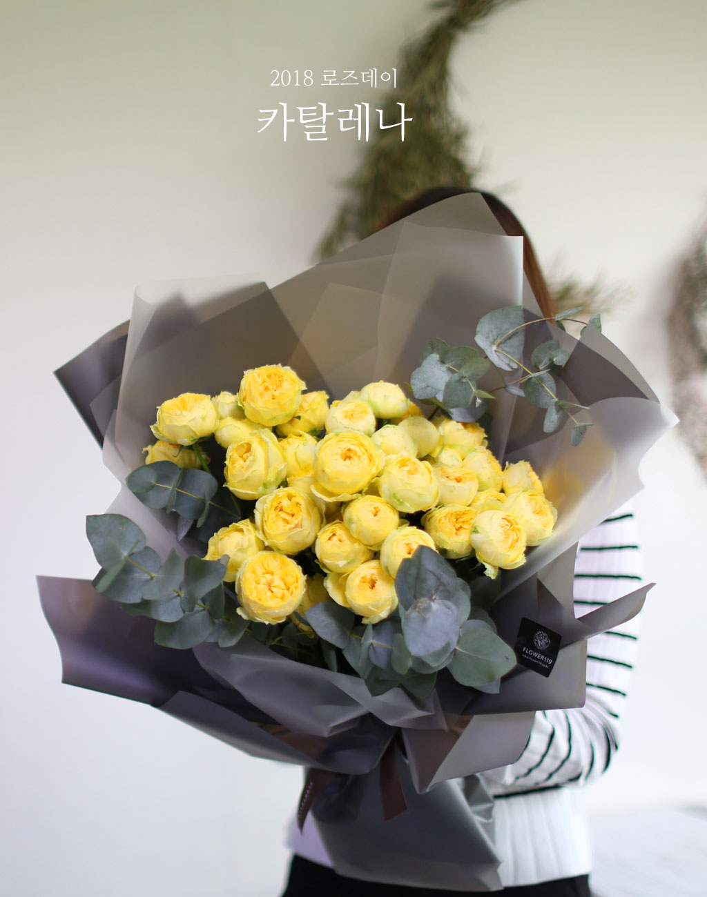 ·ÎÁîµ¥ÀÌ - īŻ·¹³ª