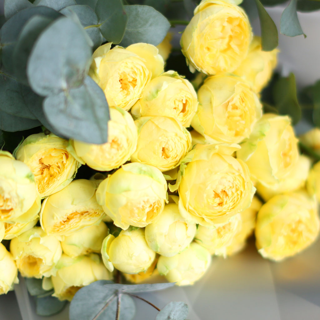 ·ÎÁîµ¥ÀÌ - īŻ·¹³ª