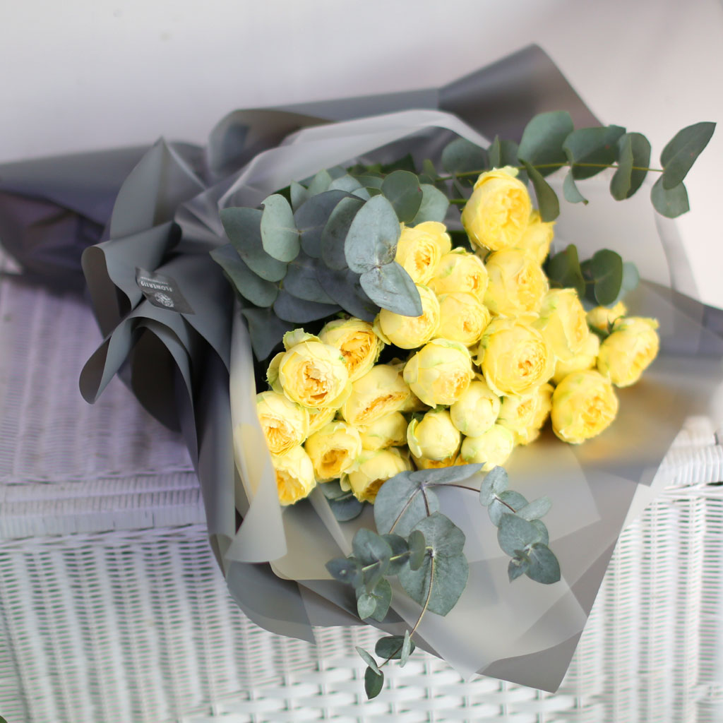 ·ÎÁîµ¥ÀÌ - īŻ·¹³ª