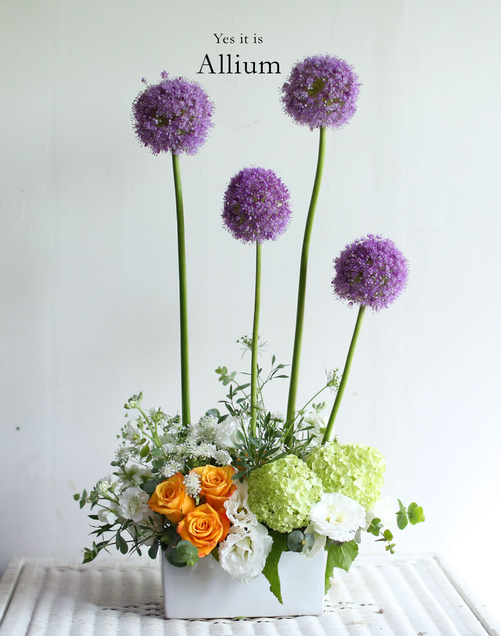 [/ǹ]Yes it is Allium  ɹ