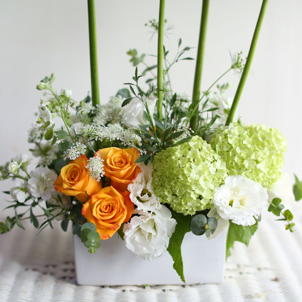 [/ǹ]Yes it is Allium  ɹ