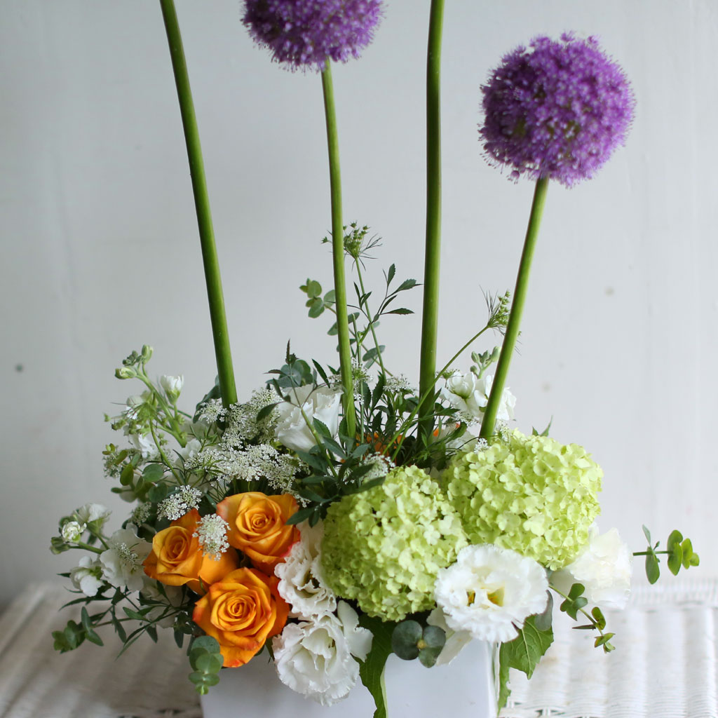 [/ǹ]Yes it is Allium  ɹ