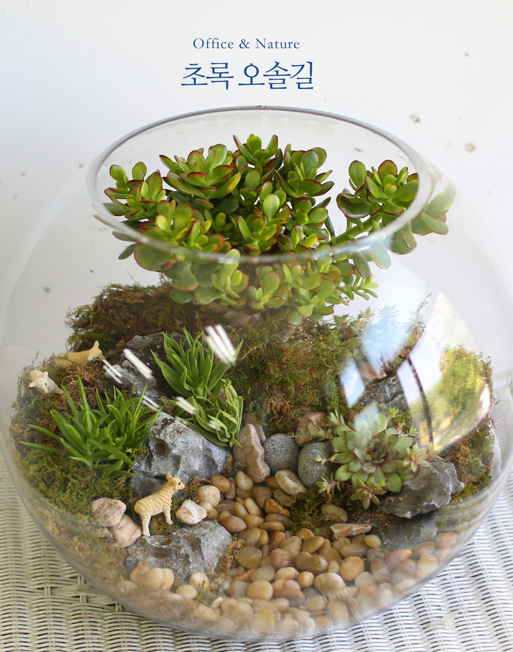 [/ ] Office & Nature ʷ ֱ