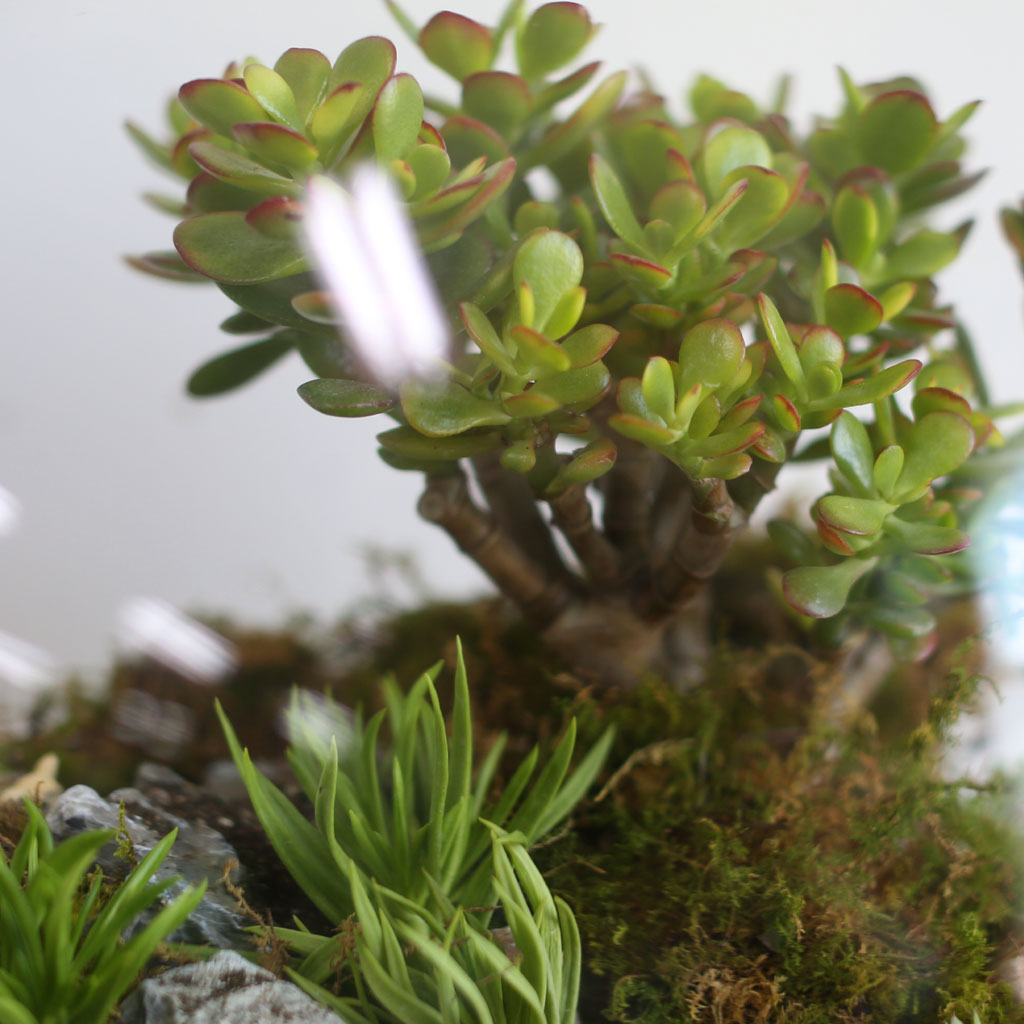 [/ ] Office & Nature ʷ ֱ