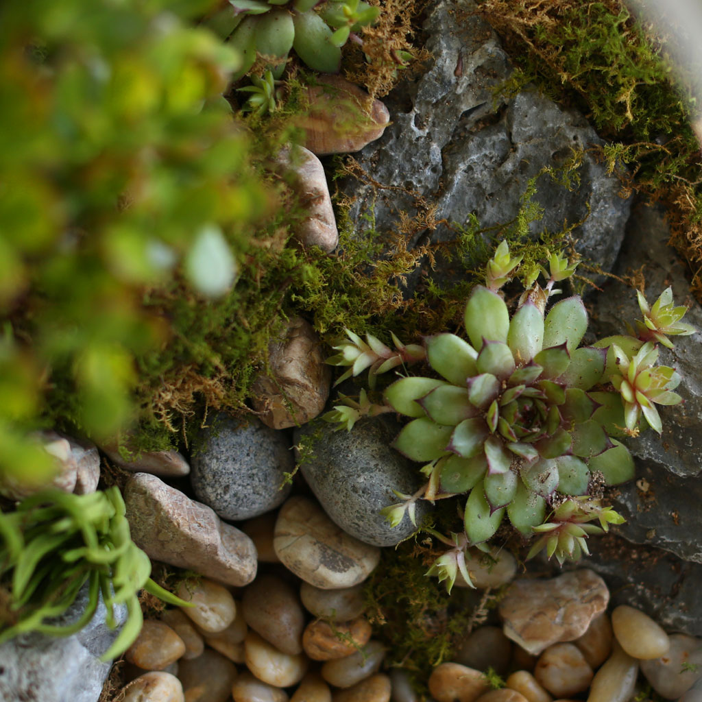 [/ ] Office & Nature ʷ ֱ