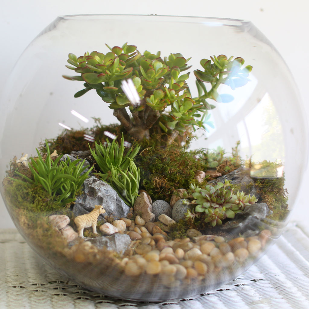 [/ ] Office & Nature ʷ ֱ