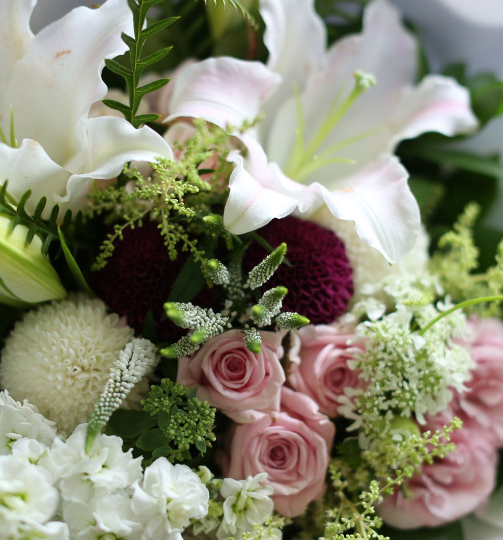 Bouquet Veronica  ɹ