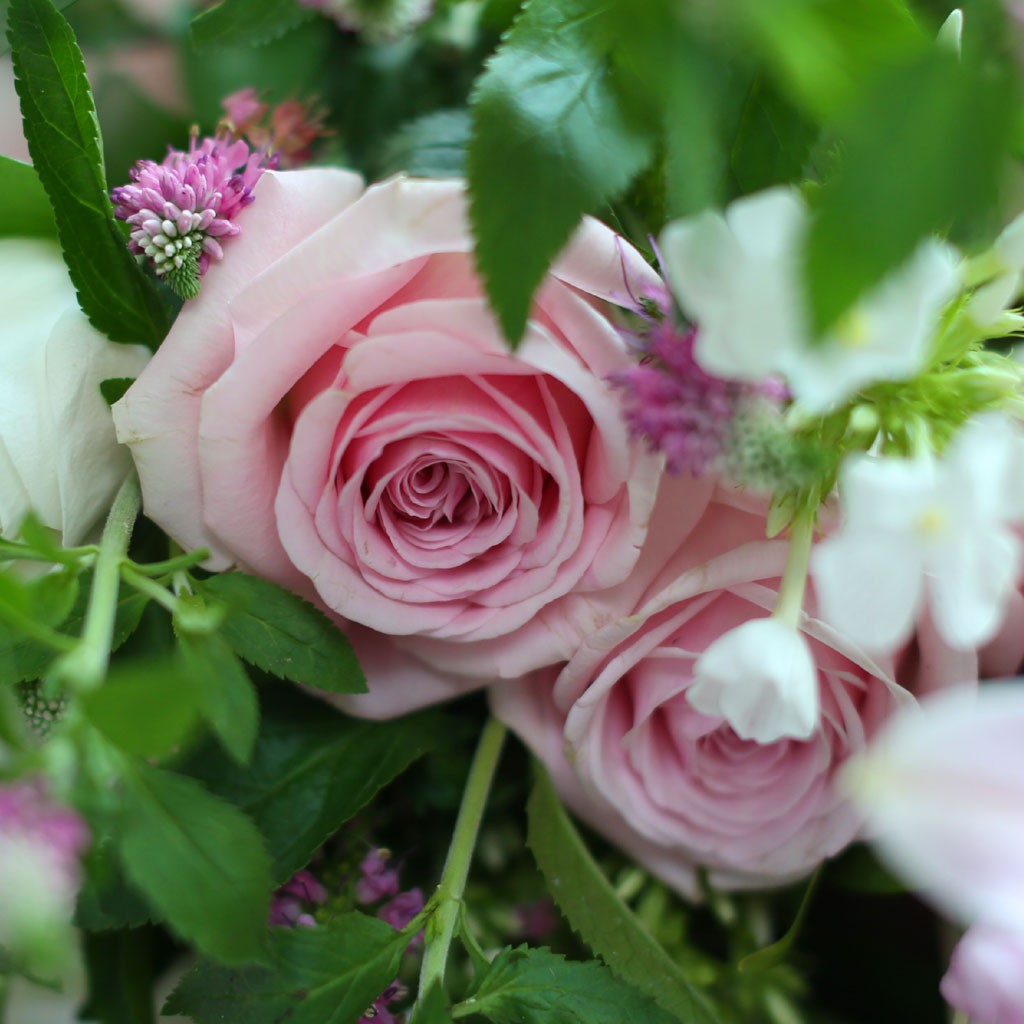 [  , ̿ ۺ ߻] Nothing but flowers  ɹ