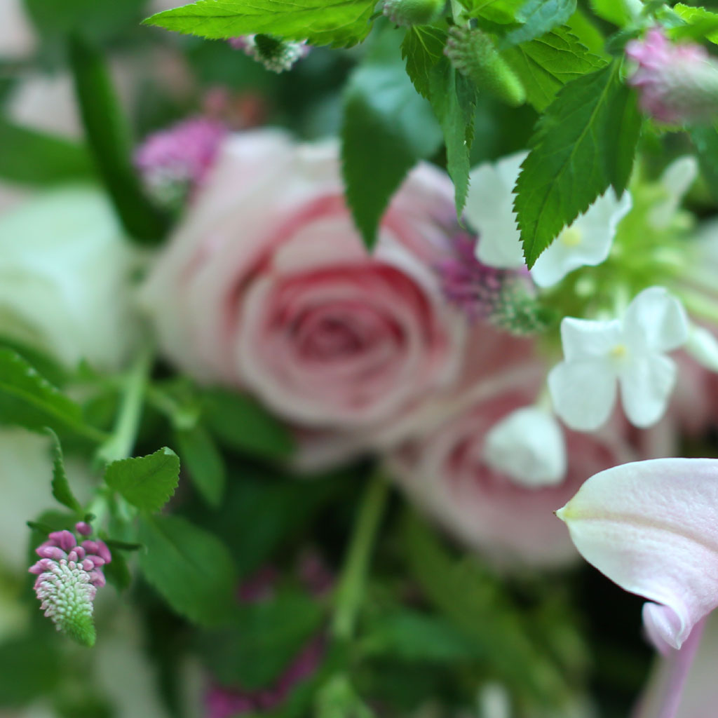 [  , ̿ ۺ ߻] Nothing but flowers  ɹ