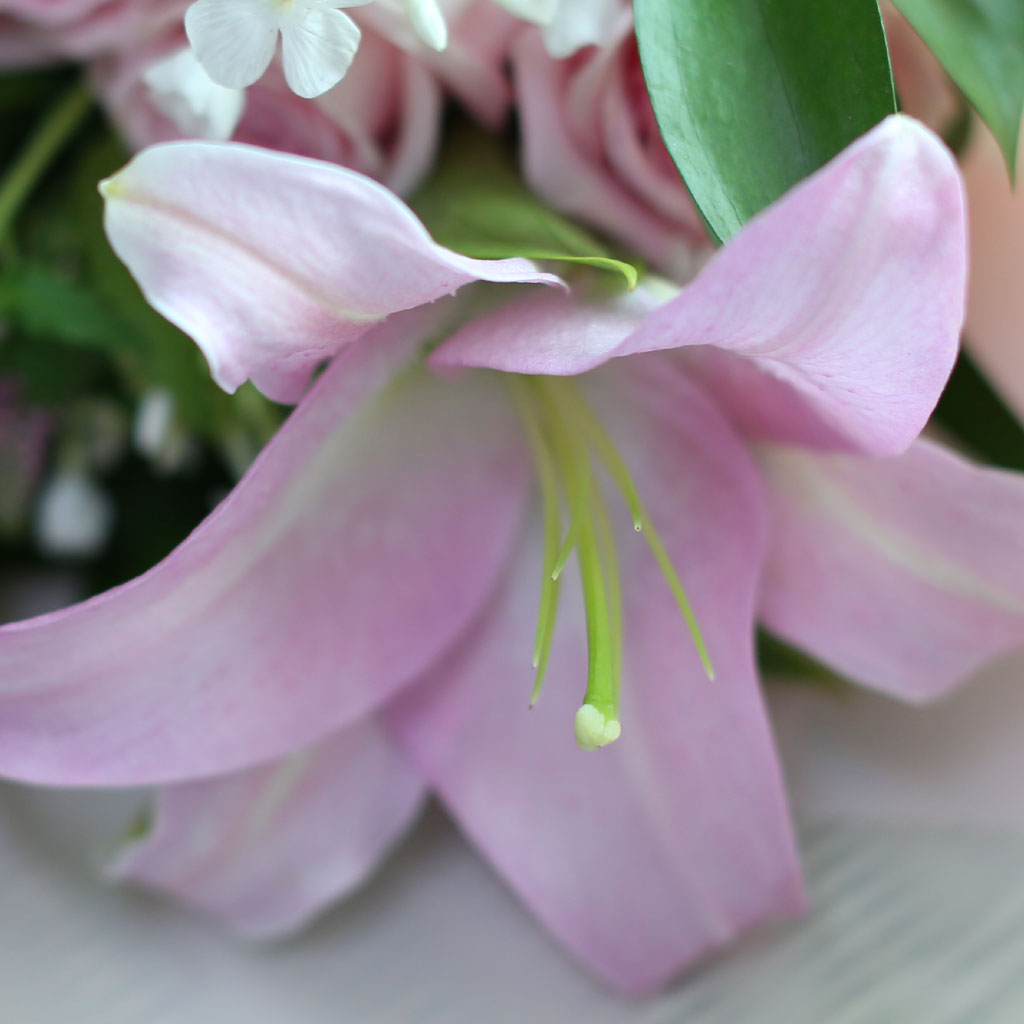 [  , ̿ ۺ ߻] Nothing but flowers  ɹ