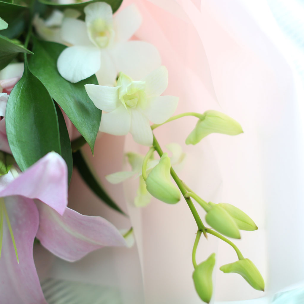 [  , ̿ ۺ ߻] Nothing but flowers  ɹ