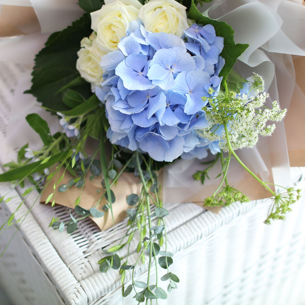 [/ǹ] Blue and white