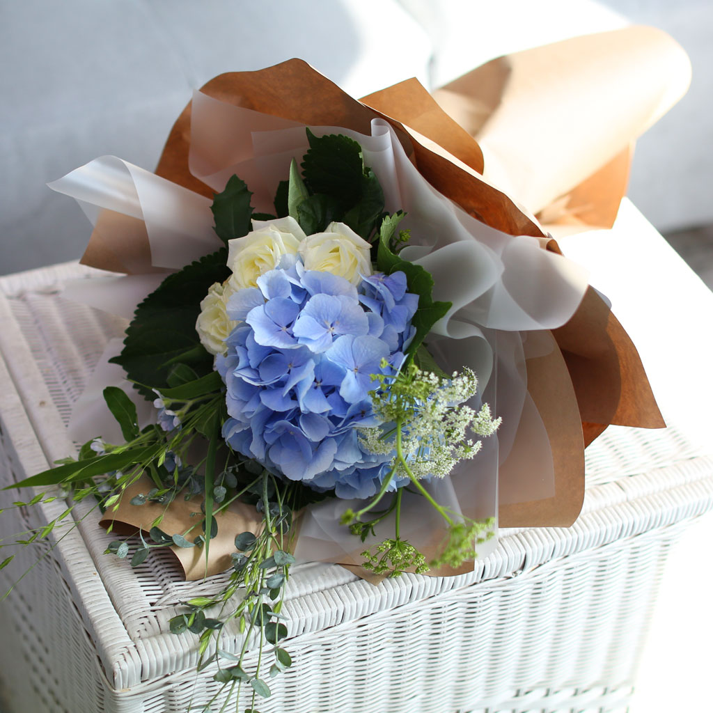 [/ǹ] Blue and white