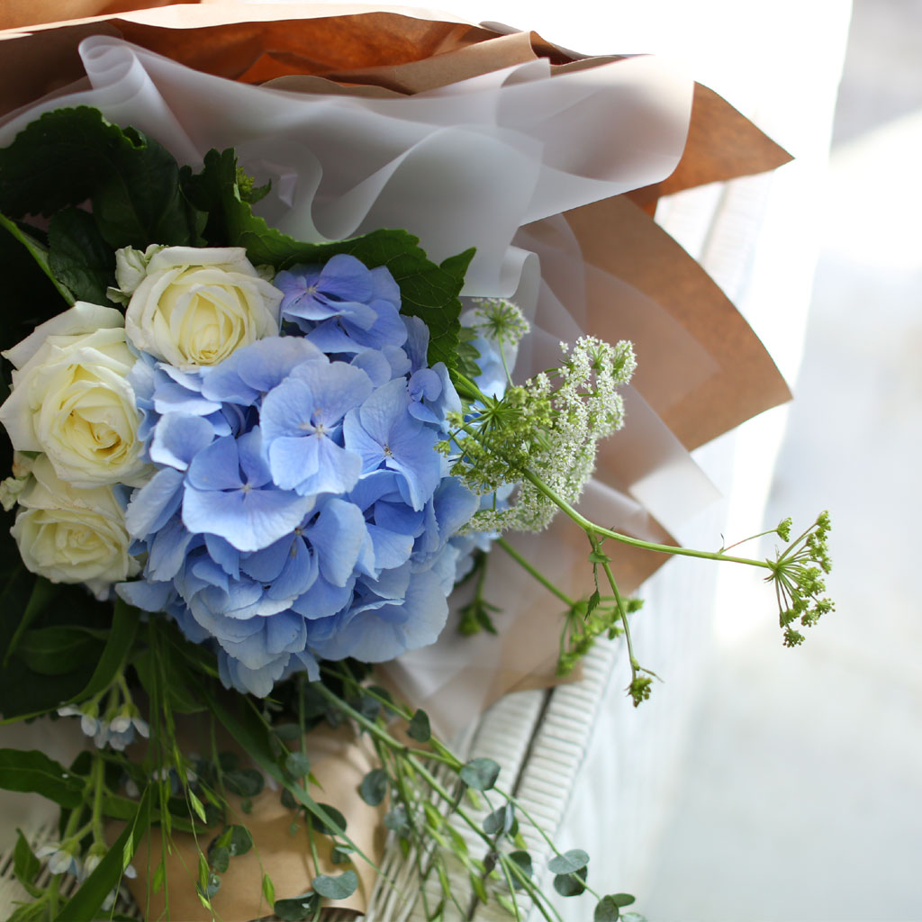 [/ǹ] Blue and white