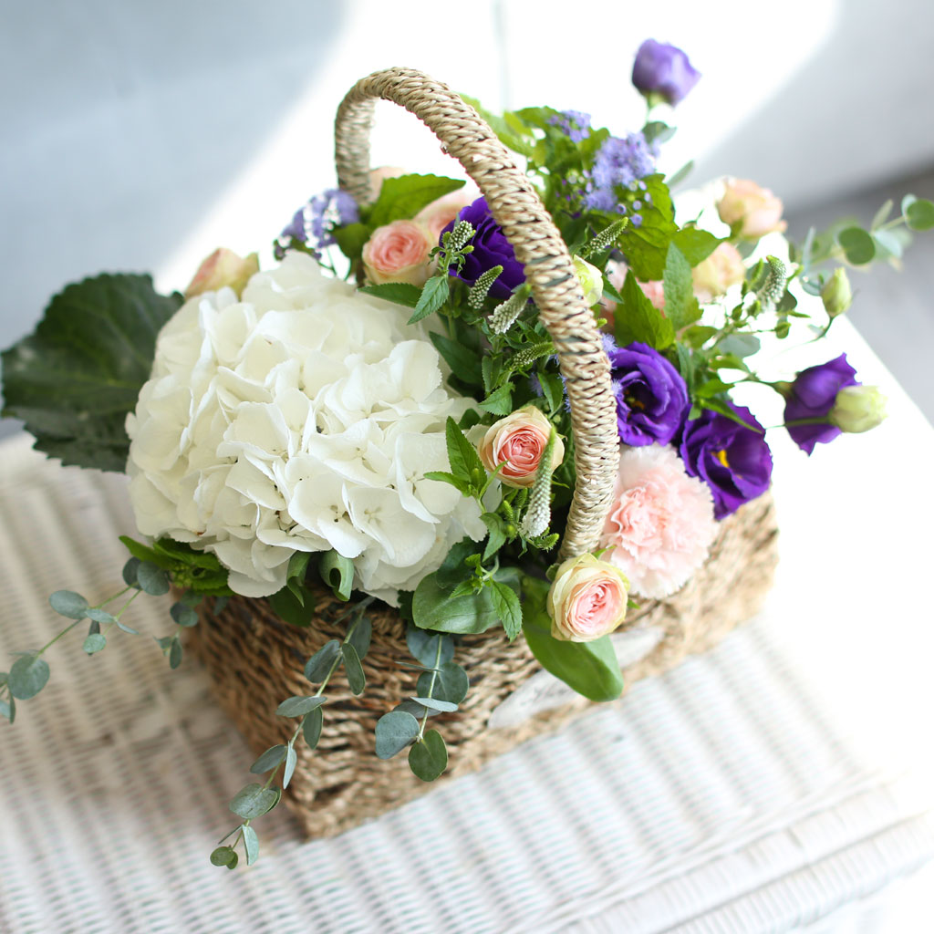 []Flowers in the rain  ɹ