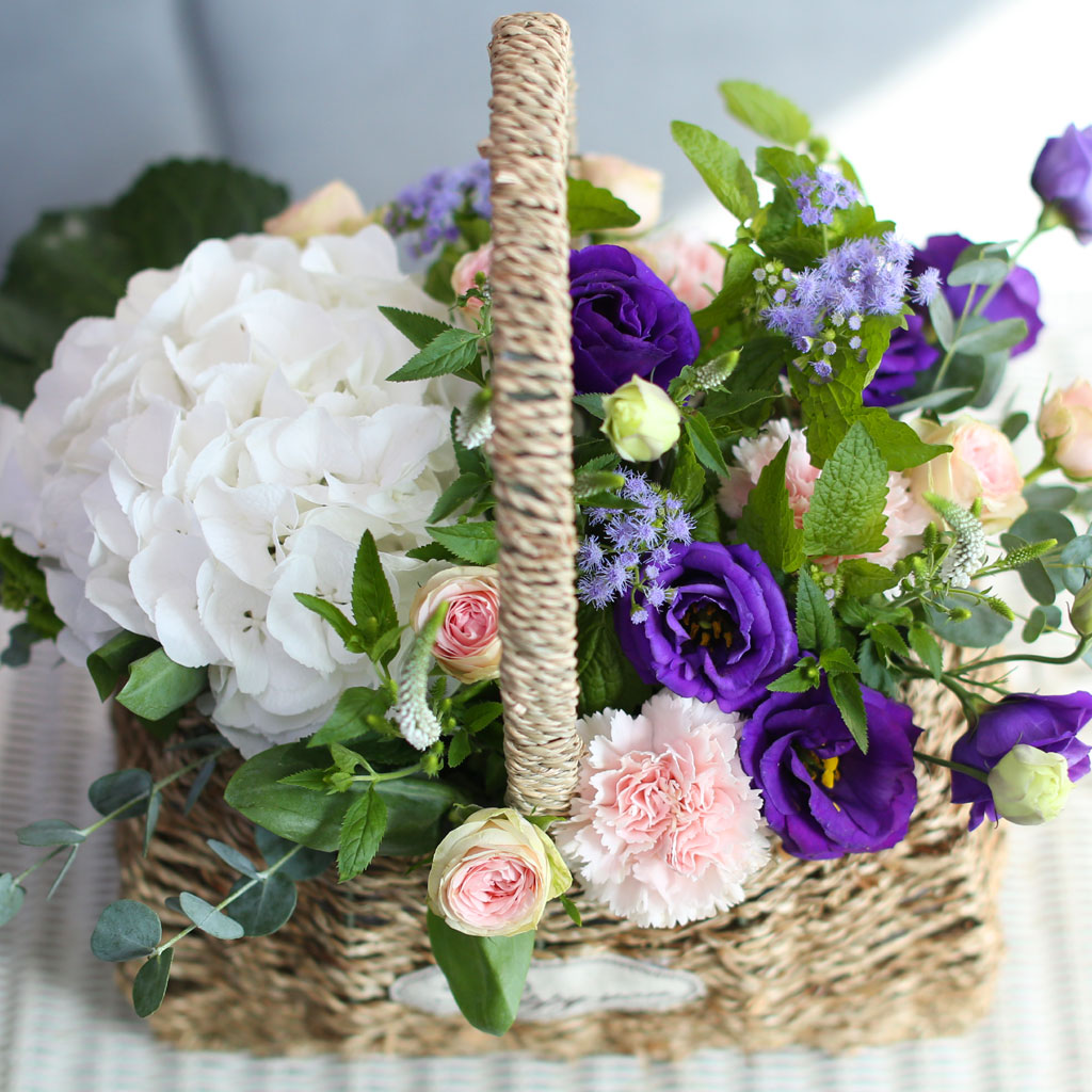 []Flowers in the rain  ɹ