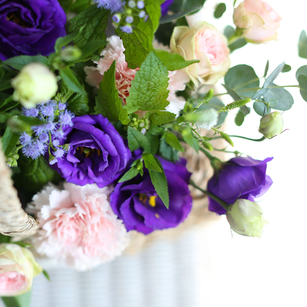 []Flowers in the rain  ɹ