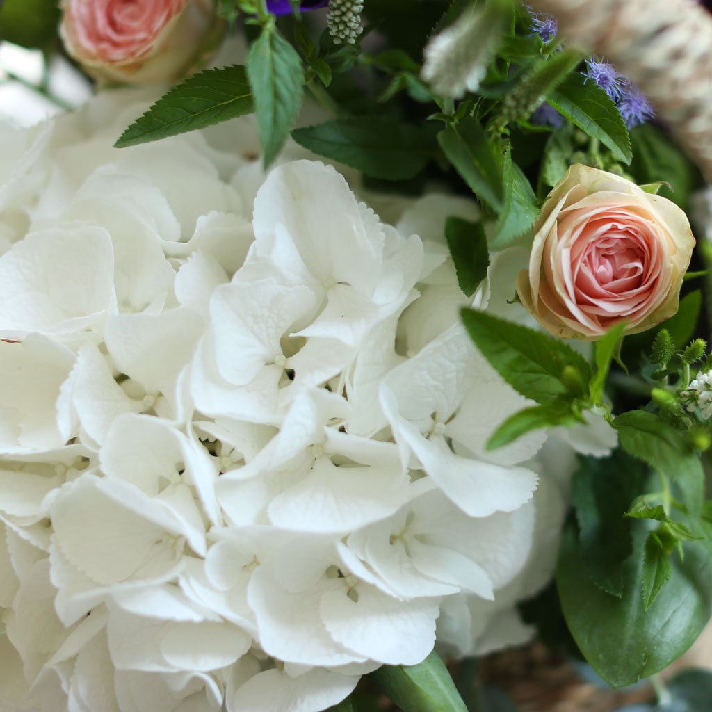 []Flowers in the rain  ɹ