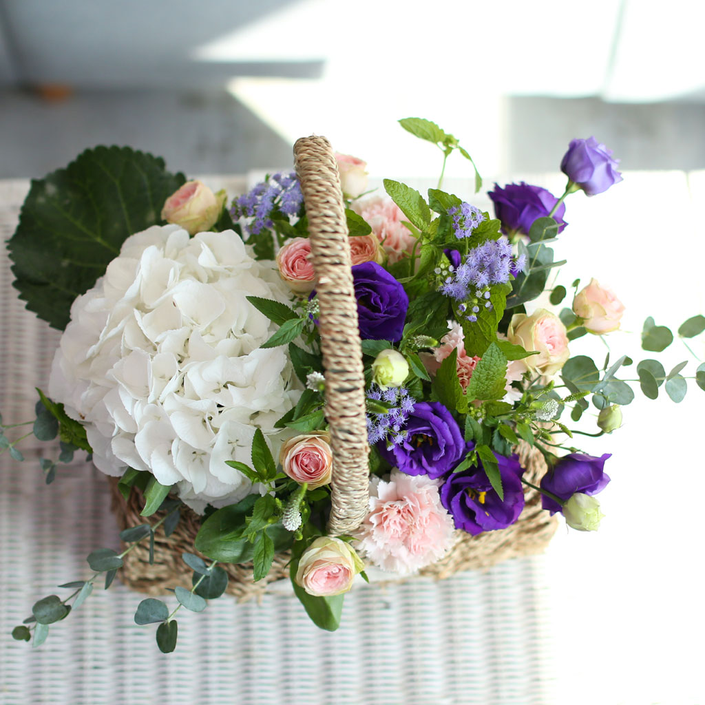 []Flowers in the rain  ɹ