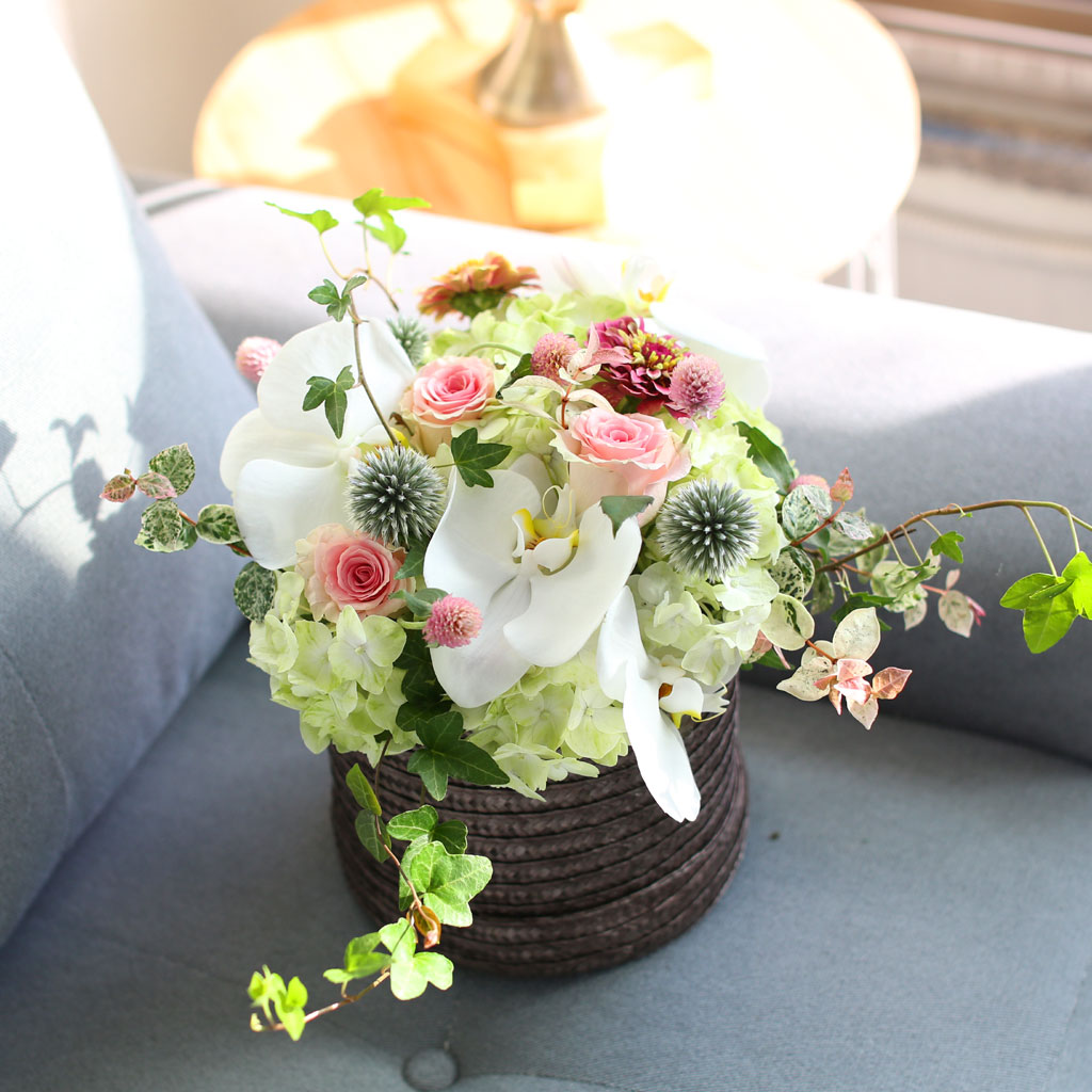 [﹫, ̿ ߰ۺ] Beautiful in white  ɹ