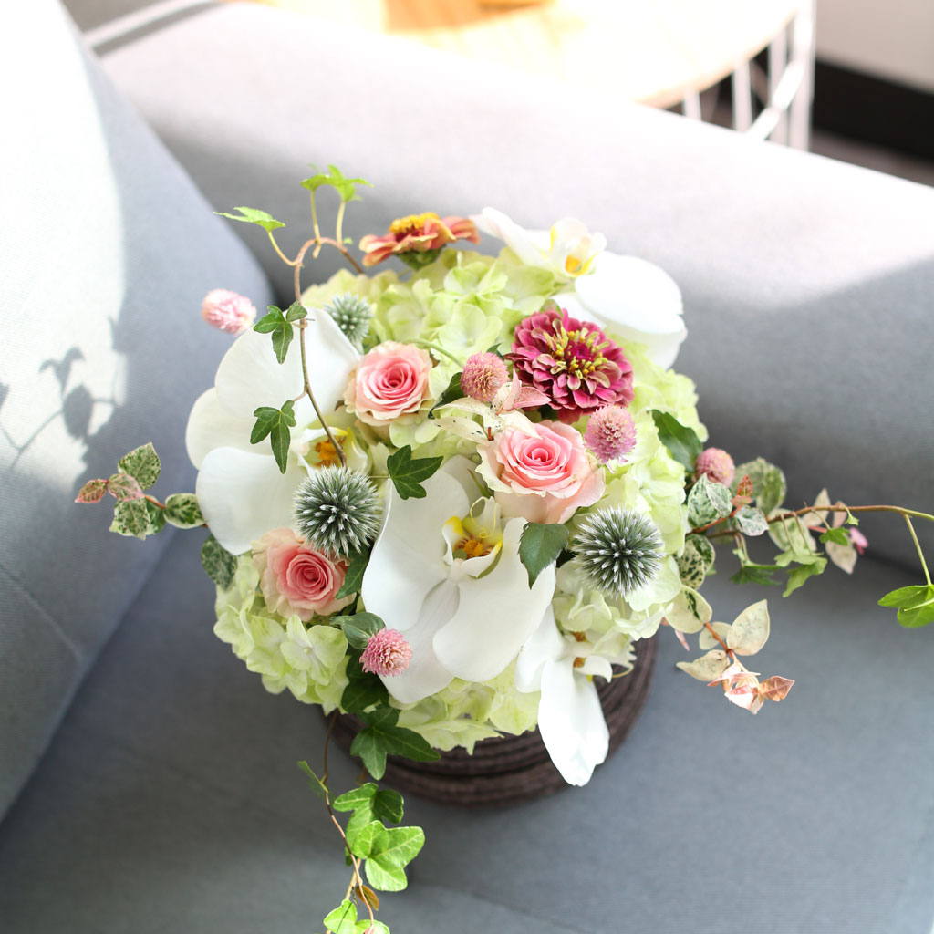 [﹫, ̿ ߰ۺ] Beautiful in white  ɹ