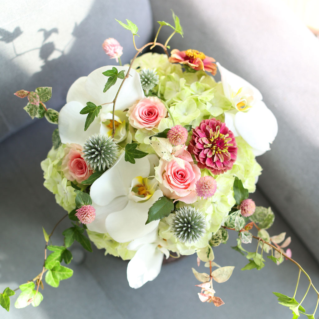 [﹫, ̿ ߰ۺ] Beautiful in white  ɹ