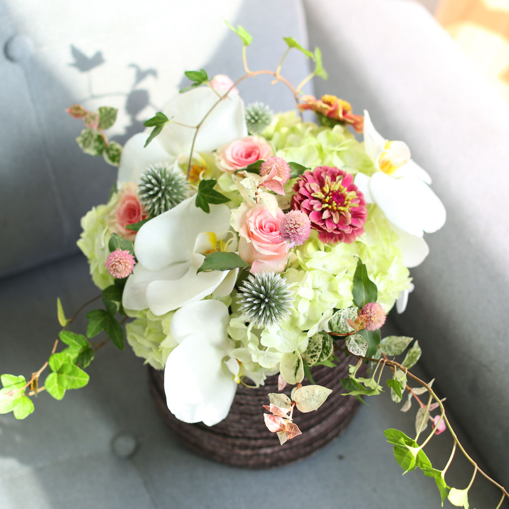 [﹫, ̿ ߰ۺ] Beautiful in white  ɹ