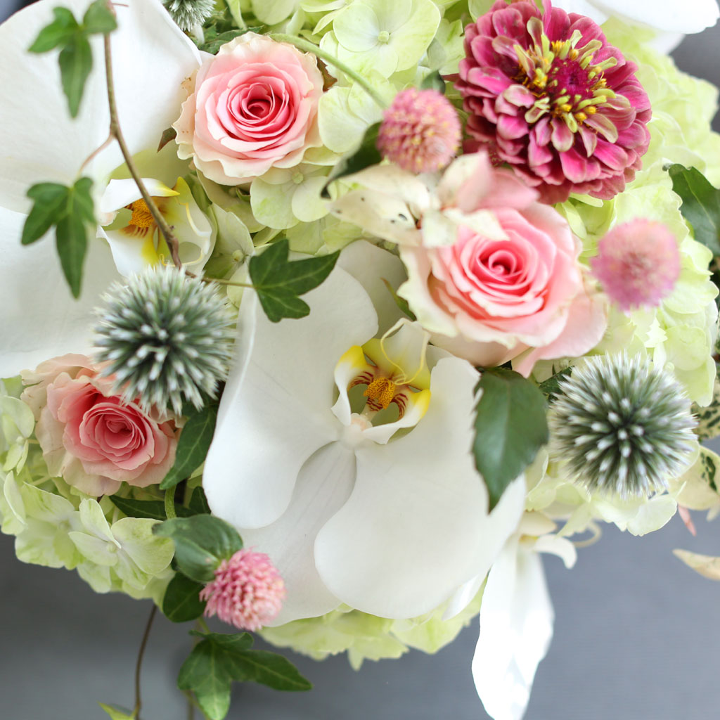 [﹫, ̿ ߰ۺ] Beautiful in white  ɹ